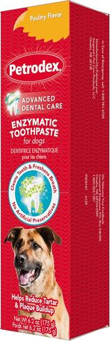 Petrodex Toothpaste for Dogs and Puppies, Cleans Teeth and Fights Bad Breath, Reduces Plaque and Tartar Formation, Enzymatic Toothpaste, Poultry Flavor, 6.2oz in Saudi Arabia