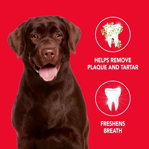 Petrodex Toothpaste for Dogs and Puppies, Cleans Teeth and Fights Bad Breath, Reduces Plaque and Tartar Formation, Enzymatic Toothpaste, Poultry Flavor, 6.2oz in Saudi Arabia