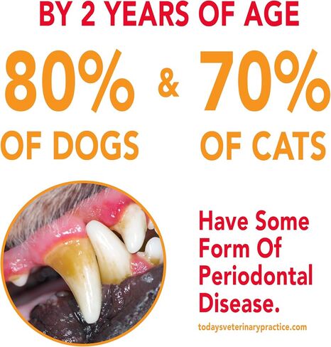 Petrodex Toothpaste for Dogs and Puppies, Cleans Teeth and Fights Bad Breath, Reduces Plaque and Tartar Formation, Enzymatic Toothpaste, Poultry Flavor, 6.2oz in Saudi Arabia