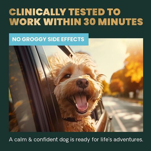 VETRISCIENCE Calm & Confident Chews, Composure Clinically Tested Calming & Anxiety Supplement for Dogs, Reduce Stress & Fear, Ideal for Thunderstorms, Fireworks & Travel, Chicken, 60 Count in Saudi Arabia
