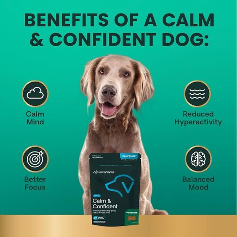VETRISCIENCE Calm & Confident Chews, Composure Clinically Tested Calming & Anxiety Supplement for Dogs, Reduce Stress & Fear, Ideal for Thunderstorms, Fireworks & Travel, Chicken, 60 Count in Saudi Arabia