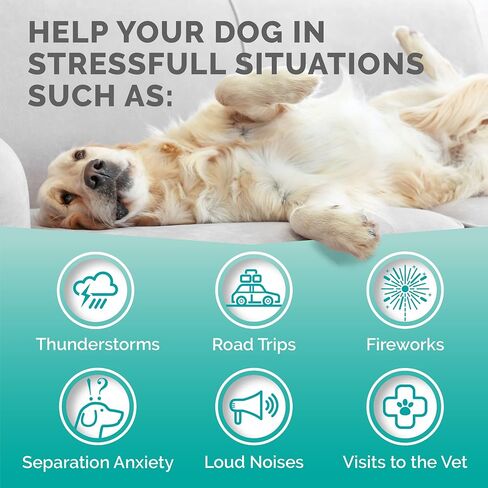 PREMIUM CARE Hemp Calming Chews for Dogs, 9.3 oz (264g), Duck Flavor, Calming Treats for Dogs, Dog Calming Chews, Dog Anxiety Chews, Anti Anxiety Relief, Valerian Root, L-Tryptophan, 120 Soft Chews in Saudi Arabia