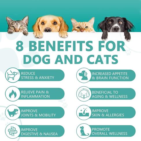 (2 Pack) Max Potency Hemp Oil for Dogs & Cats - Help Anxiety Stress Pain Inflammation Arthritis Aggressive Relax Sleep Allergies Seizures Relief - Treats Chews Joint & Hip - Organic Pet Calming Drops in Kuwait