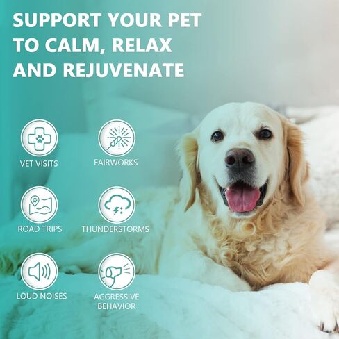 (2 Pack) Max Potency Hemp Oil for Dogs & Cats - Help Anxiety Stress Pain Inflammation Arthritis Aggressive Relax Sleep Allergies Seizures Relief - Treats Chews Joint & Hip - Organic Pet Calming Drops in Kuwait