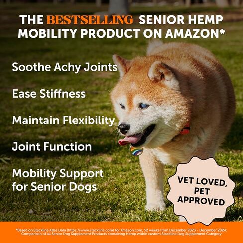 Pet Honesty Hemp Hip & Joint Supplement for Dogs - Hemp Oil & Hemp Powder - Glucosamine Chondroitin for Dogs, Turmeric, MSM, Green-Lipped Mussel, Supports Mobility, May Reduce Discomfort (Bacon) in Kuwait