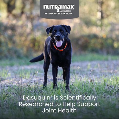 Nutramax Laboratories Dasuquin with MSM Joint Health Supplement for Large Dogs - With Glucosamine, MSM, Chondroitin, ASU, Boswellia Serrata Extract, and Green Tea Extract, 150 Chewable Tablets in Kuwait