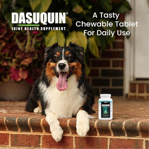 Nutramax Laboratories Dasuquin with MSM Joint Health Supplement for Large Dogs - With Glucosamine, MSM, Chondroitin, ASU, Boswellia Serrata Extract, and Green Tea Extract, 150 Chewable Tablets in Kuwait