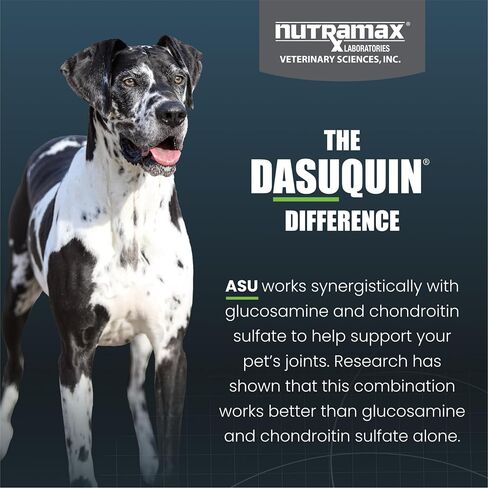 Nutramax Laboratories Dasuquin with MSM Joint Health Supplement for Large Dogs - With Glucosamine, MSM, Chondroitin, ASU, Boswellia Serrata Extract, and Green Tea Extract, 150 Chewable Tablets in Kuwait