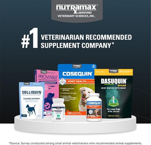 مختبرات Nutramax Dasuquin مع ملحق صحة مشترك MSM للكلاب الكبيرة - مع الجلوكوزامين ، والـ MSM ، و Chondroitin ، و ASU ، و Boswellia serrata ، ومستخلص الشاي الأخضر ، 150 أقراص قابلة للمضغ in Kuwait