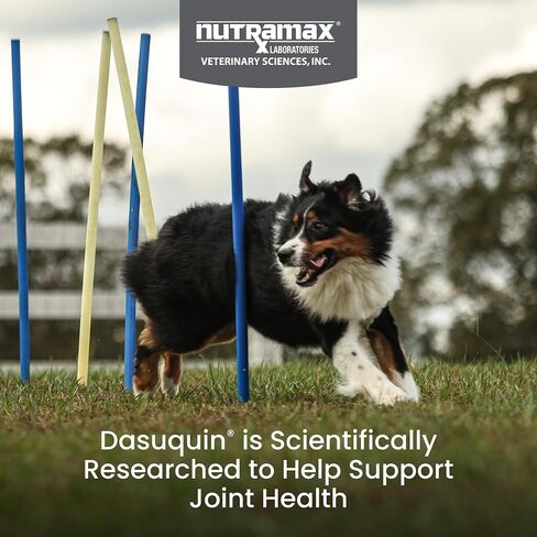 Nutramax Laboratories Dasuquin with MSM Joint Health Supplement for Large Dogs - With Glucosamine, MSM, Chondroitin, ASU, Boswellia Serrata Extract, and Green Tea Extract, 150 Chewable Tablets in Kuwait