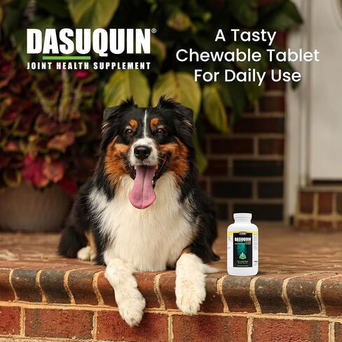 Nutramax Laboratories Dasuquin with MSM Joint Health Supplement for Large Dogs - With Glucosamine, MSM, Chondroitin, ASU, Boswellia Serrata Extract, and Green Tea Extract, 150 Chewable Tablets in Kuwait