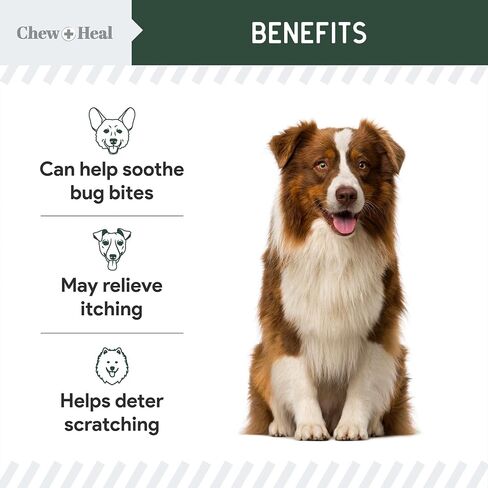 Chew + Heal Labs Hydrocortisone Lotion for Dogs - 4 oz Anti Itch Cream for Irritated Skin, Flea Bites, Itching, and More - Made in The USA in Kuwait