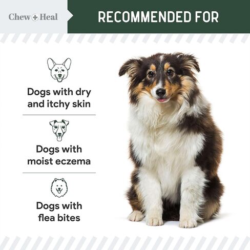 Chew + Heal Labs Hydrocortisone Lotion for Dogs - 4 oz Anti Itch Cream for Irritated Skin, Flea Bites, Itching, and More - Made in The USA in Kuwait