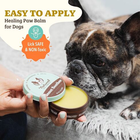 Natural Dog Company Snout Soother Balm (1 oz) for Dry, Cracked Noses, All-Natural, Lick-Safe, Soothing Nose Balm with Moisturizing Butter, Winter Nose Protection Dogs in Saudi Arabia