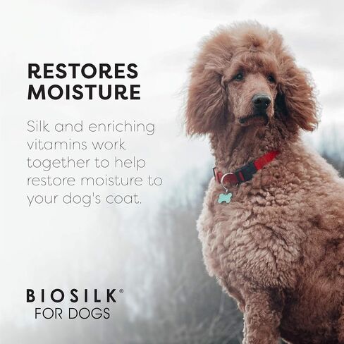 BioSilk حرير تكييف تكييف رذاذ منفصل للكلاب مع زيت جوز الهند الطبيعي - الكلب مكيف الشعر detangler الكلاب للكلاب ، وإلغاء الاستمالة لوازم ، 7 فلوريدا أوقية in Kuwait