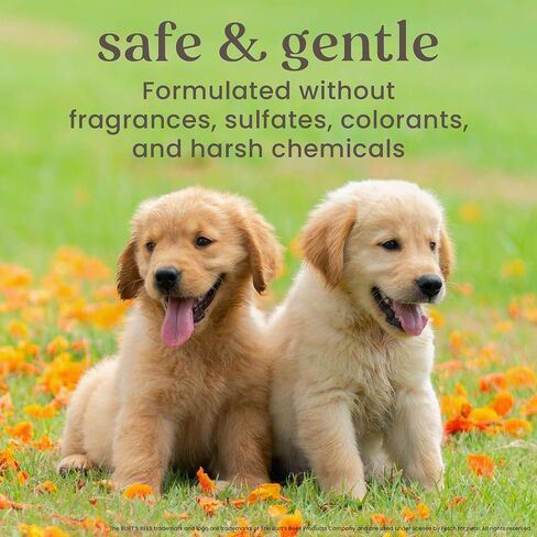 Burt's Bees for Pets Itch Soothing Spray with Honeysuckle, 95% Natural Origin Formulas, Dog Spray for Itchy Dogs, Dog Spray Itchy Skin Relief, 10oz in Saudi Arabia