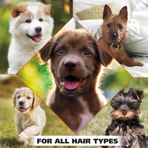Wahl USA Gentle Puppy Shampoo for Pets – Cornflower & Aloe for Grooming Dirty Dogs - 24 Oz - Model 820002A in Saudi Arabia