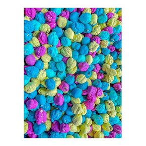 Colored Chickpeas for Sensory Play and Sensory Bins - Many Different Seasonal Colors (Pastel, 2 Cups)