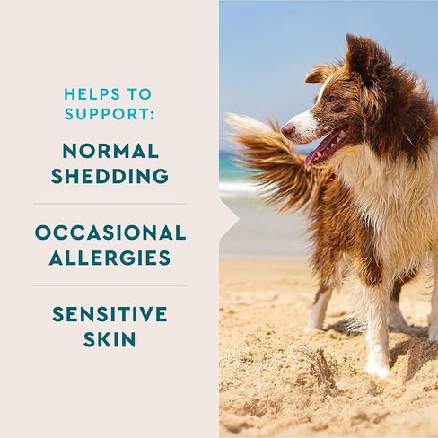 VetIQ Skin and Coat Supplement for Dogs, Helps Maintain Healthy Skin and Shiny Coat, Hickory Smoke Flavor Dog Chew, Made in The USA, 60 Count in Saudi Arabia