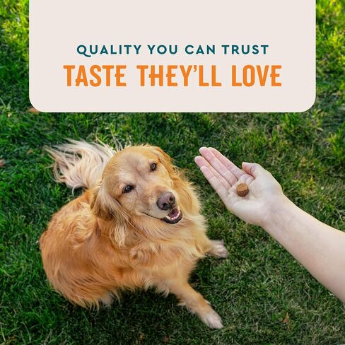 VetIQ Skin and Coat Supplement for Dogs, Helps Maintain Healthy Skin and Shiny Coat, Hickory Smoke Flavor Dog Chew, Made in The USA, 60 Count in Saudi Arabia