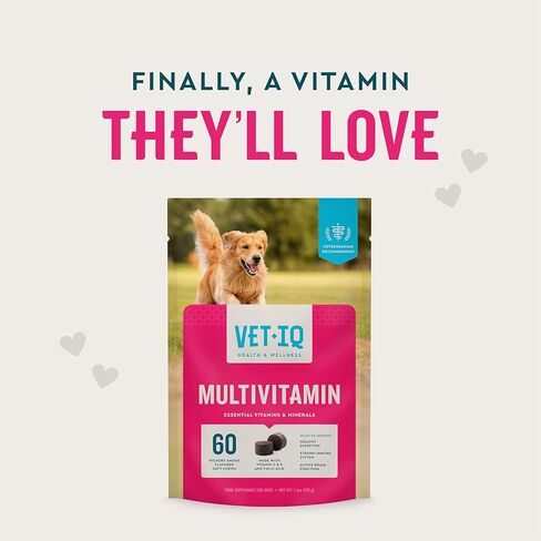 VetIQ Multivitamin Supplement for Dogs, Supports Active Brain Function, Immune System, and Digestive System, Hickory Smoke Flavored Dog Multivitamin, Made in The USA, 60 Count in Kuwait