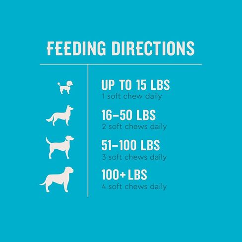 VetIQ Multivitamin Supplement for Dogs, Supports Active Brain Function, Immune System, and Digestive System, Hickory Smoke Flavored Dog Multivitamin, Made in The USA, 60 Count in Kuwait