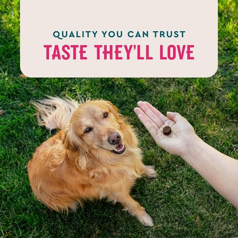 VetIQ Multivitamin Supplement for Dogs, Supports Active Brain Function, Immune System, and Digestive System, Hickory Smoke Flavored Dog Multivitamin, Made in The USA, 60 Count in Kuwait