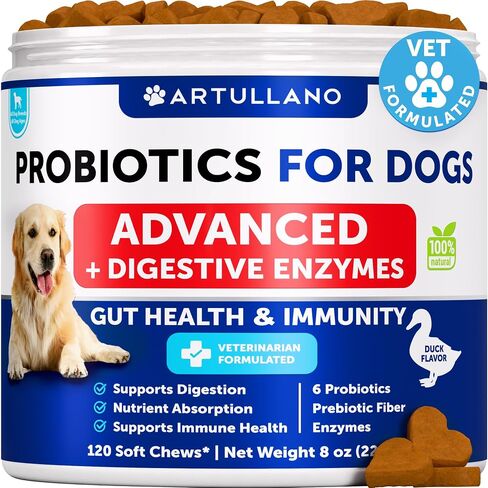 Probiotics for Dogs - Support Gut Health, Itchy Skin, Allergies, Immunity, Yeast Balance - Dog Probiotics and Digestive Enzymes with Prebiotics - Reduce Diarrhea, Gas - 120 Probiotic Chews for Dogs in Kuwait