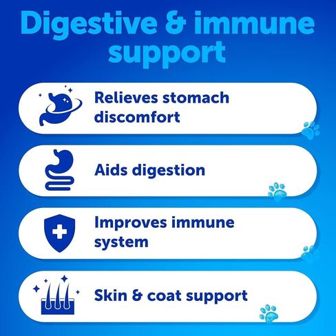 Probiotics for Dogs - Support Gut Health, Itchy Skin, Allergies, Immunity, Yeast Balance - Dog Probiotics and Digestive Enzymes with Prebiotics - Reduce Diarrhea, Gas - 120 Probiotic Chews for Dogs in Kuwait