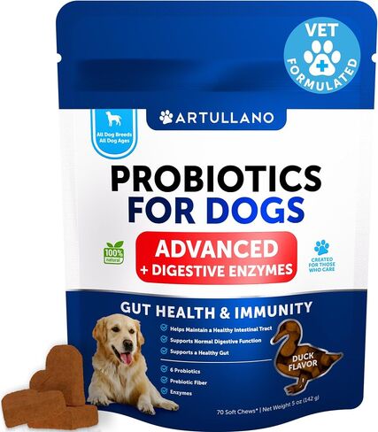 Probiotics for Dogs - Support Gut Health, Itchy Skin, Allergies, Immunity, Yeast Balance - Dog Probiotics and Digestive Enzymes with Prebiotics - Reduce Diarrhea, Gas - 120 Probiotic Chews for Dogs in Kuwait