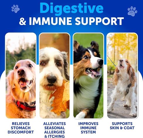 Probiotics for Dogs - Support Gut Health, Itchy Skin, Allergies, Immunity, Yeast Balance - Dog Probiotics and Digestive Enzymes with Prebiotics - Reduce Diarrhea, Gas - 120 Probiotic Chews for Dogs in Kuwait
