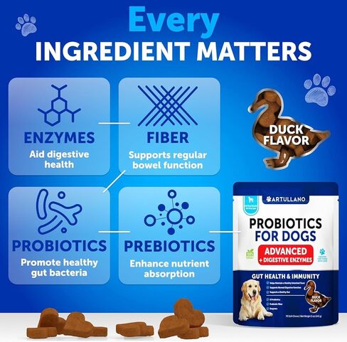 Probiotics for Dogs - Support Gut Health, Itchy Skin, Allergies, Immunity, Yeast Balance - Dog Probiotics and Digestive Enzymes with Prebiotics - Reduce Diarrhea, Gas - 120 Probiotic Chews for Dogs in Kuwait