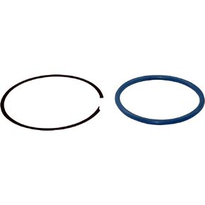 Lock Ring For The Fuel Pump