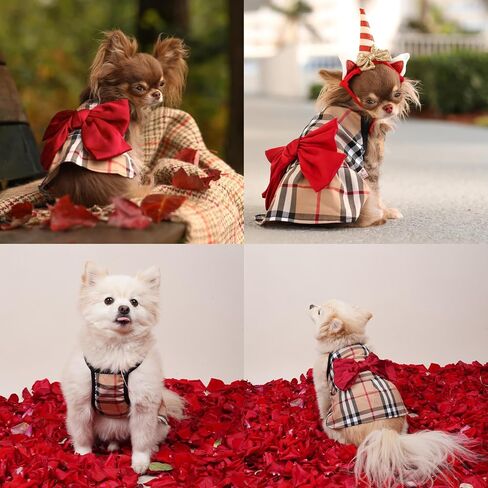 Dress for Dog,Dogs Clothes,cat Clothes,pet Clothes,Dress Luxury, Dog Clothes for Small Dog, Girl for Medium and Large, All The Dogs in Saudi Arabia