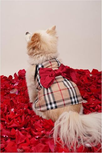 Dress for Dog,Dogs Clothes,cat Clothes,pet Clothes,Dress Luxury, Dog Clothes for Small Dog, Girl for Medium and Large, All The Dogs in Saudi Arabia
