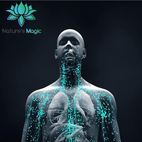 مزيل العرق الداخلي من Nature's Magic Chlorophyll Gummies، يدعم التخلص من سموم البشرة والجسم الصحي، 50 مجم بنكهة التفاح بالإضافة إلى البوتاسيوم، عضوي ونباتي... in Kuwait