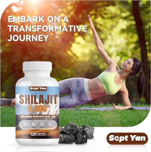Shilajit Himalayan Capsules - Pure Himalayan Organic Supplement with Mushrooms Blend, Zinc - 2 Month Supply for Strength, Stamina, Brain & Immune Health - Shilajit for Women & Men 120 Count Vegan in Saudi Arabia