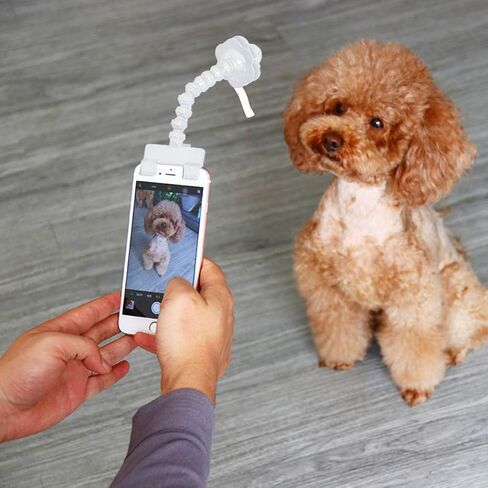 أداة سيلفي للحيوانات الأليفة، عصا سيلفي للهاتف المحمول، أداة تصوير حامل للهاتف المحمول للكلاب، تجذب انتباه الحيوانات الأليفة، أداة سيلفي للحيوانات الأليفة in Kuwait