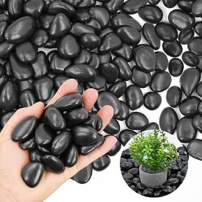 20Ib Cream White River Rock- Decorative Pebbles for Plants - River Rocks for Outdoor Landscaping- 0.3"-0.8" inch High Polished Stones for Aquarium, Terrarium,Vases, Home Decor