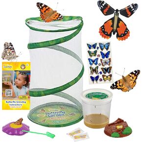 Insect Lore Butterfly Garden Gift Set | 8" Habitat with Live Cup of Caterpillars | Stickers and Extras Included | Life Science & STEM Education Kit | Grow Painted Lady Butterflies