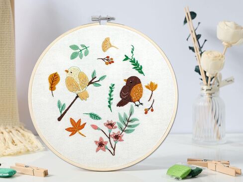 Bonroy 4 Sets Embroidery Set for Beginners Art Crafts Easy Sewing Includes Embroidery Clothes with Pattern, Hoop, Instruction Manual, Color Stitch Set (Assorted 1) in Kuwait