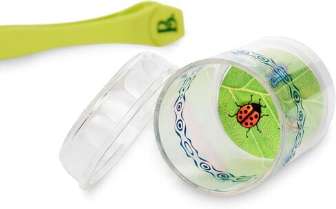 B. Toys- Bug Bungalow- Bug Catching Kit- Sports & Outdoors- حشرات الصيد- ألعاب الصيف- التعليم والتنموي- 3 سنوات + in Kuwait