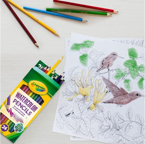Crayola Watercolor Colored Pencils 24ct, Watercolor Paint Alternative in Saudi Arabia