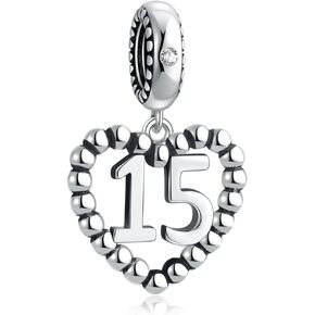 Lucky Number 1.2.3.4 to 70 Charms 925 Sterling Silver Heart Bead with Clear CZ Stone Fits Pandora Charms Bracelet Necklace Meaningful Valentine Anniversary Jewelry Gift for Women Girls