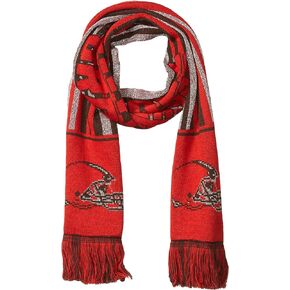FOCO NFL unisex-adult 2016 Big Logo Scarf