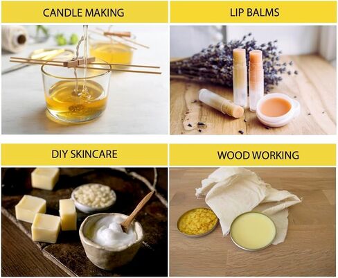 Beesworks Yellow Beeswax Bars (6 oz) | 100% Pure, Cosmetic Grade, Triple-Filtered Beeswax for DIY Skin Care, Lip Balm, Lotion and Candle Making (1 oz Bars - Pack of 6) in Kuwait