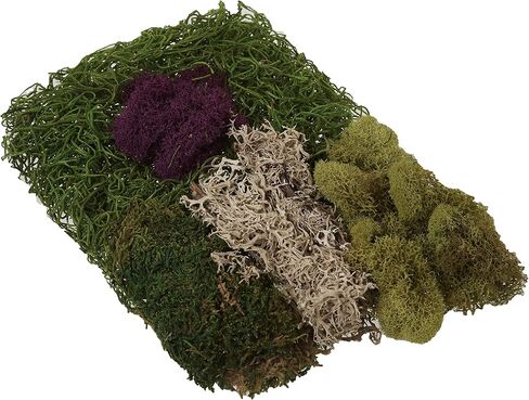 SuperMoss (23310) Moss Mix - Best Sellers, 80.75 Cubic Inch Bag (Appx. 2 Ounce) in Kuwait
