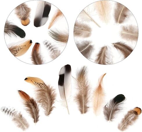 THARAHT 240pcs Mix Colour Eight Style Spotted Small Natural Bulk Feathers 2-6 Inches for for Sewing Crafts Clothing Jewelry Wedding Hair Hats Dream Catcher Decoration Guinea Fowl Feathers in Kuwait