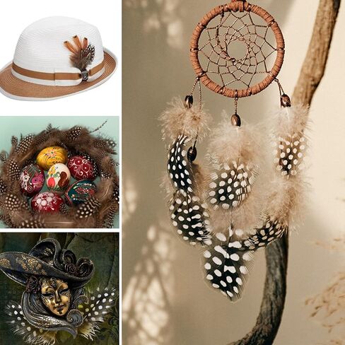THARAHT 240pcs Mix Colour Eight Style Spotted Small Natural Bulk Feathers 2-6 Inches for for Sewing Crafts Clothing Jewelry Wedding Hair Hats Dream Catcher Decoration Guinea Fowl Feathers in Kuwait