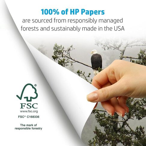 HP Printer Paper | 8.5 x 11 Paper | Copy &Print 20 lb | 1 Ream Case - 500 Sheets| 92 Bright | Made in USA - FSC Certified | 200060 in Saudi Arabia